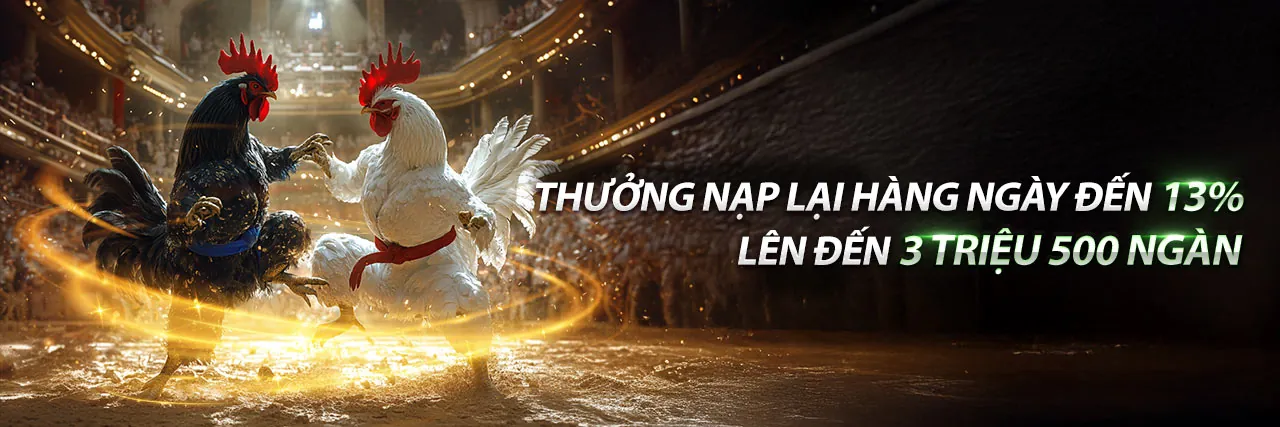 Giao diện ứng dụng Vibet App trên điện thoại thông minh